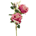 RÓŻA - Gałązka 2 kwiaty i pąk Peach Purple 63 cm